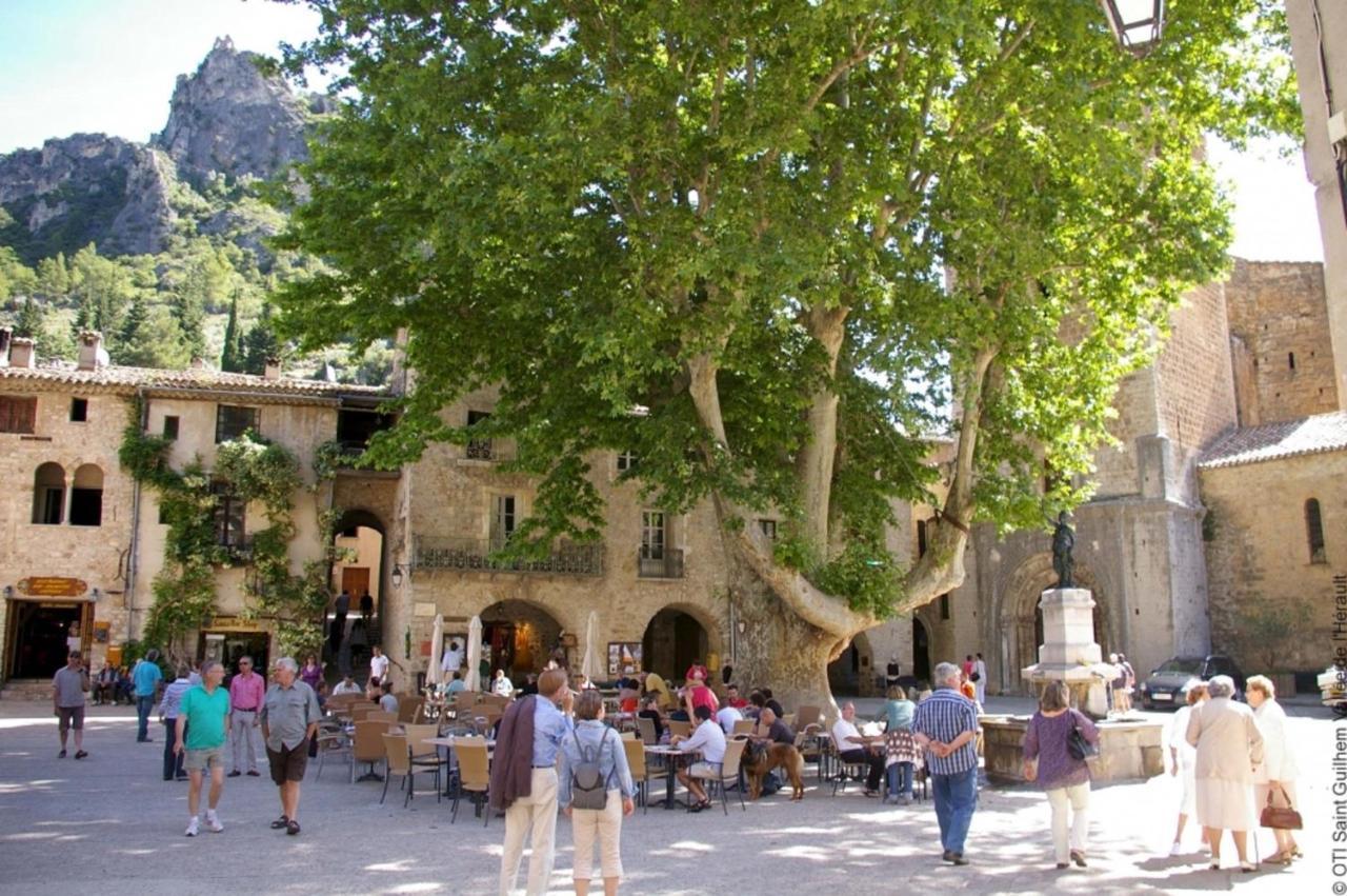 Saëns 03-T2 avec garage privé optionnel-Centre historique et plages à 16km ! Béziers Extérieur photo